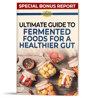 Fermented Foods Guide